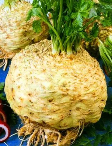 The best varieties of celery root