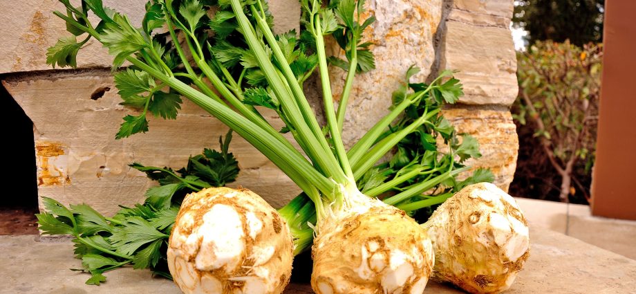 The best varieties of celery root