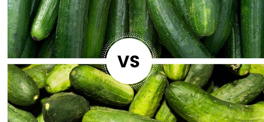 The best varieties of cucumbers for canning and pickling