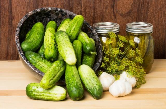 The best varieties of cucumbers for growing on a windowsill