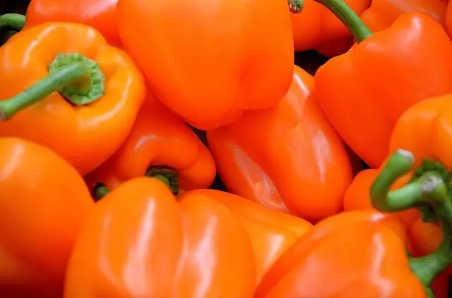 The best varieties of Dutch pepper