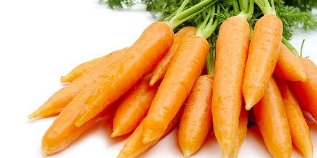 The best varieties of early carrots