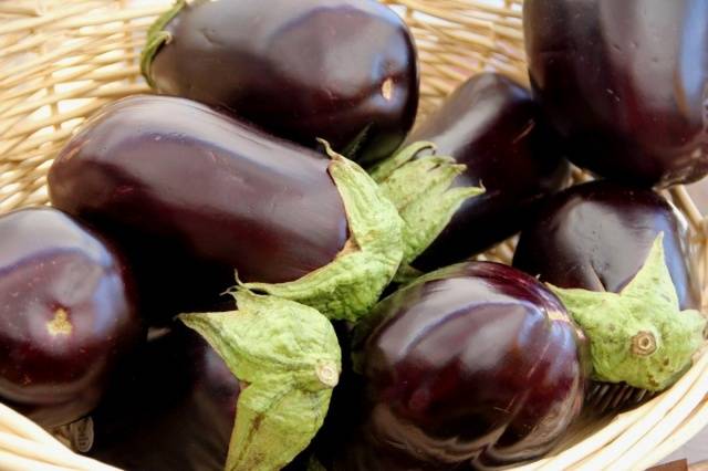 The best varieties of eggplant