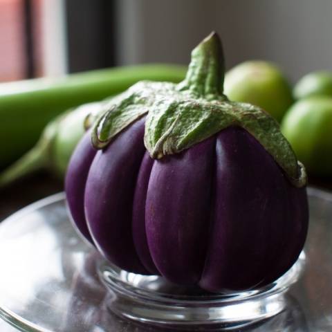 The best varieties of eggplant