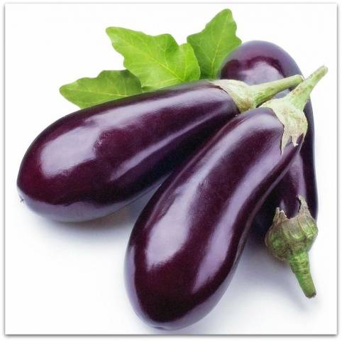 The best varieties of eggplant