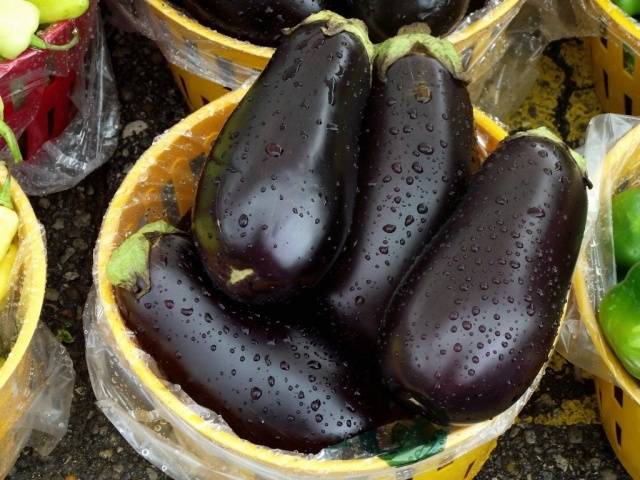 The best varieties of eggplant