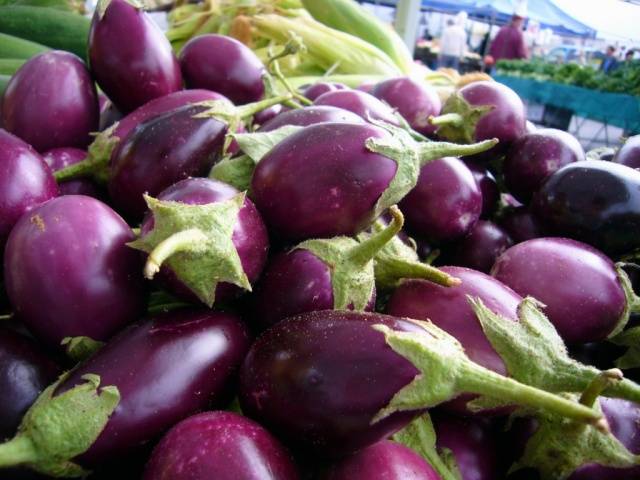 The best varieties of eggplant