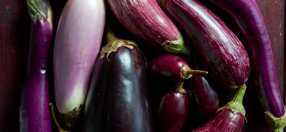 The best varieties of eggplant