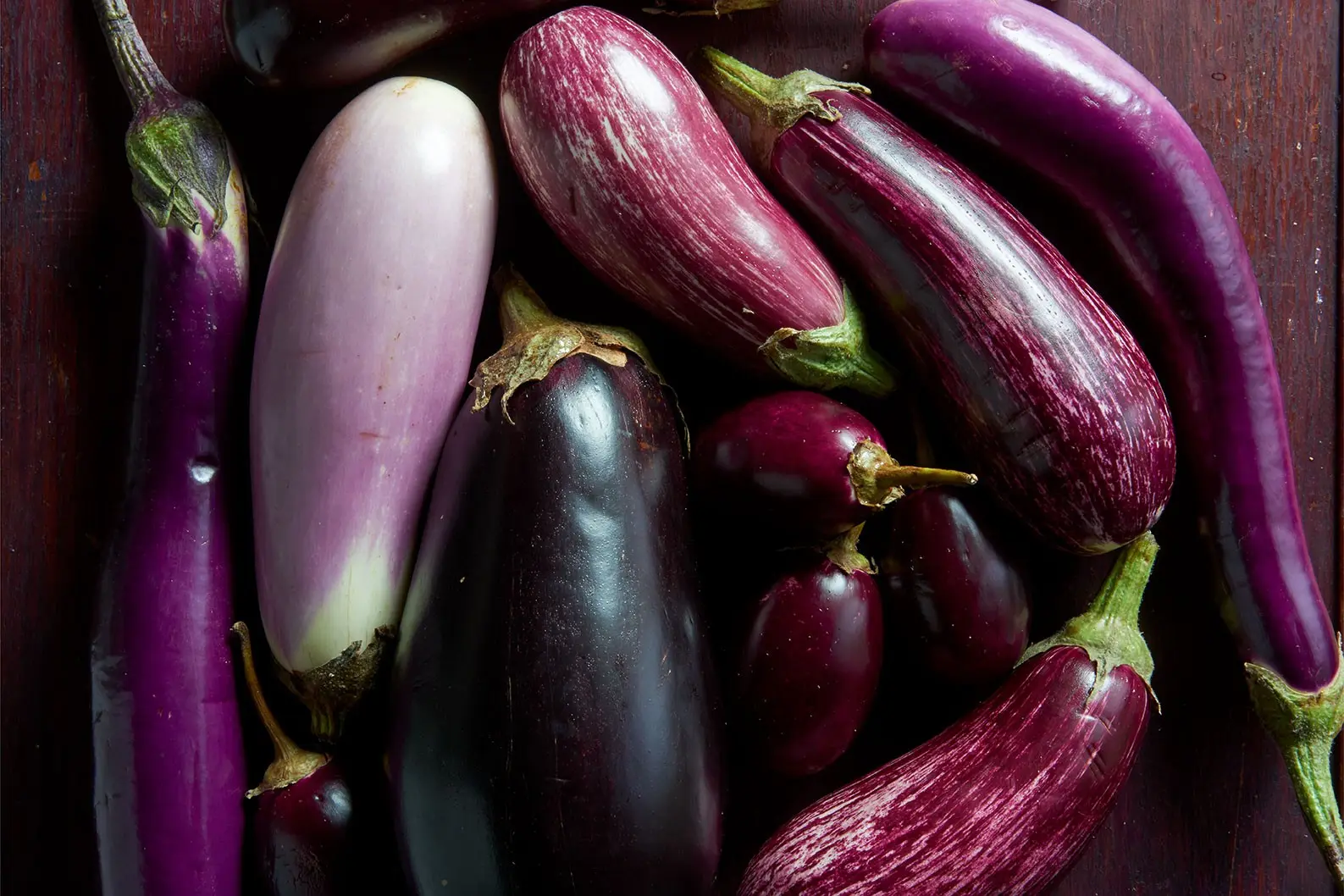 The best varieties of eggplant