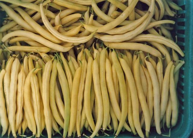 The best varieties of green beans