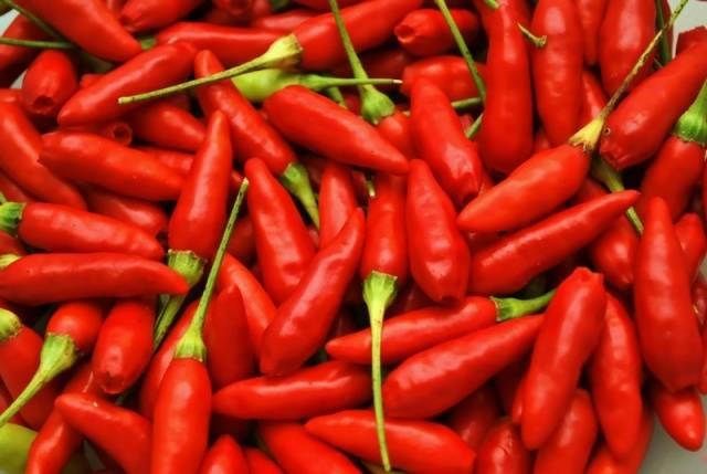 The best varieties of hot red pepper: benefits, cultivation