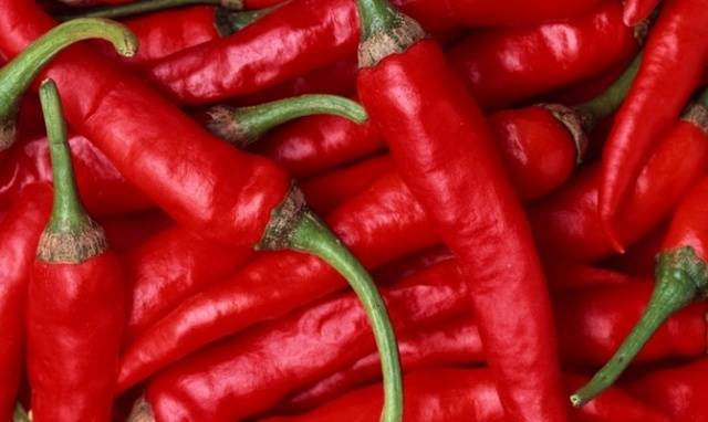 The best varieties of hot red pepper: benefits, cultivation