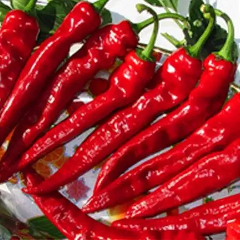 The best varieties of hot red pepper: benefits, cultivation