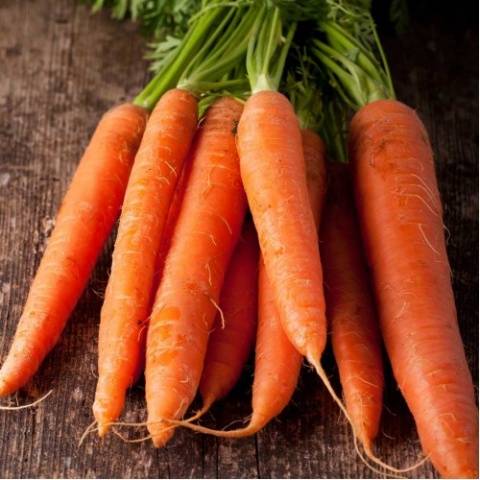 The best varieties of long carrots – Healthy Food Near Me