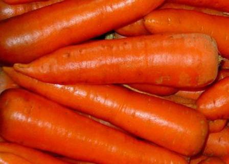 The best varieties of long carrots