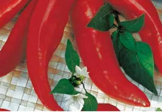 The best varieties of mild pepper