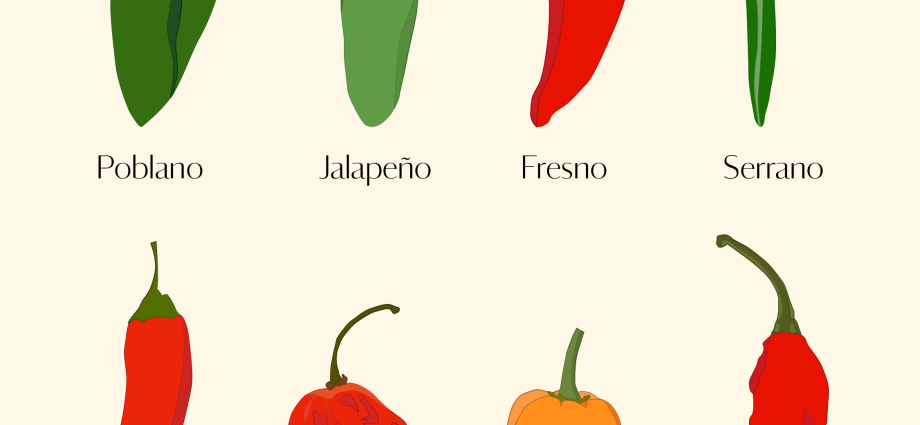 The best varieties of mild pepper