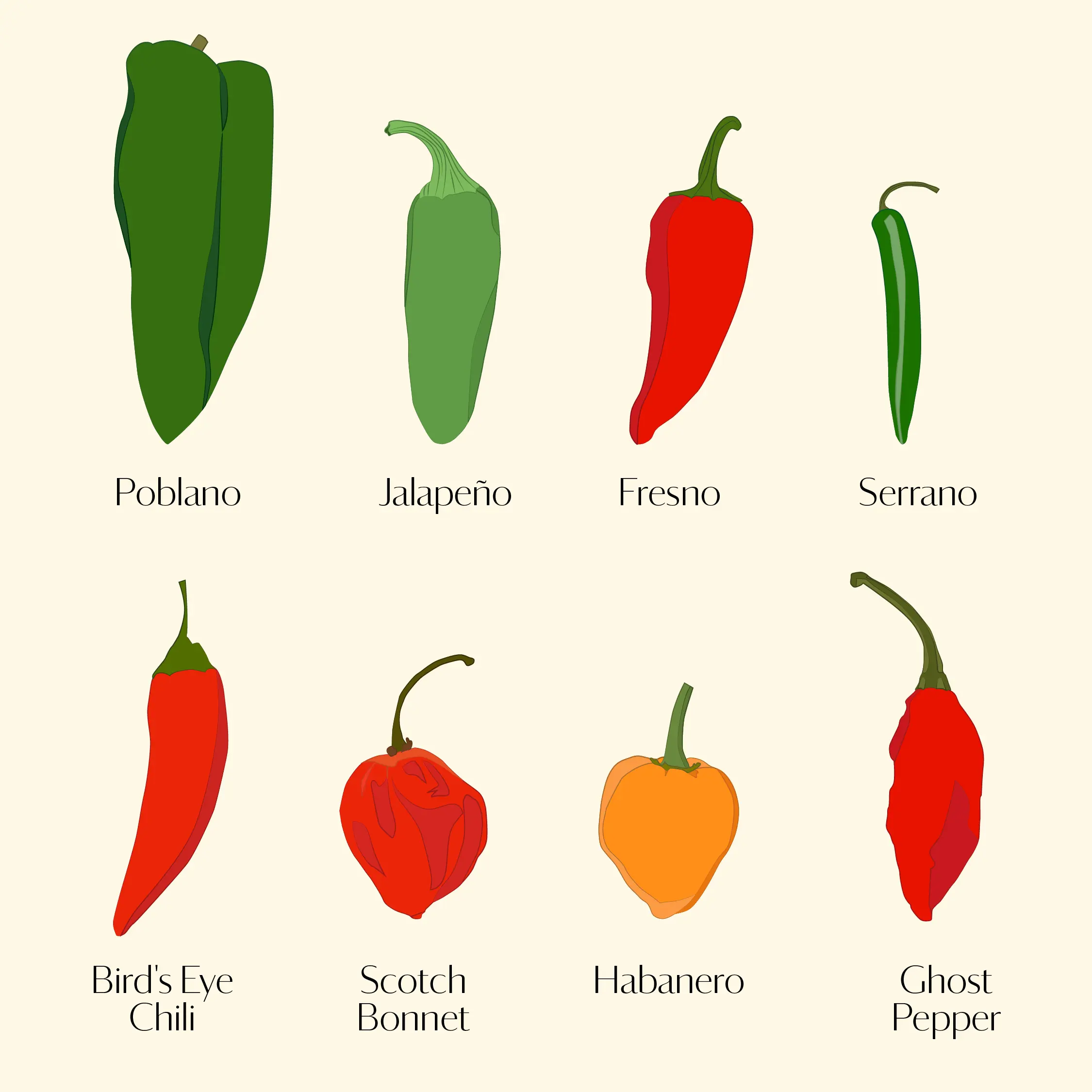 The best varieties of mild pepper