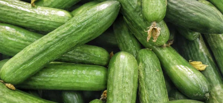 The best varieties of parthenocarpic cucumbers for greenhouses