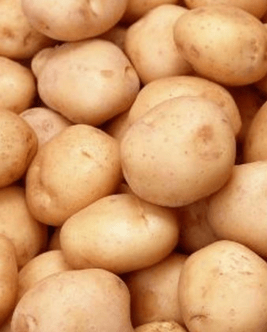 The best varieties of potatoes for the Chernozem region with a photo