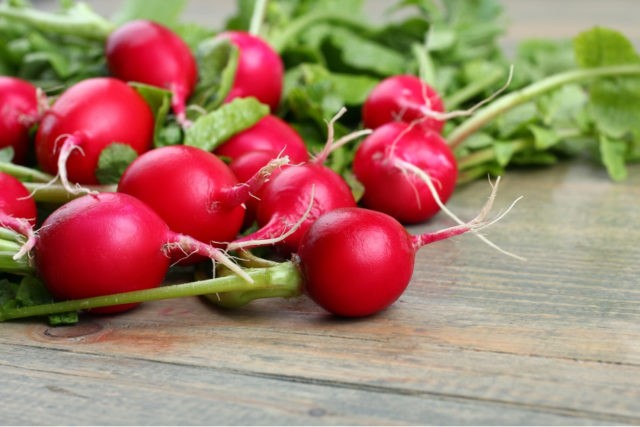 The best varieties of radish for a greenhouse: reviews, photos, for Siberia, for the Moscow region, for the Urals, for the middle lane