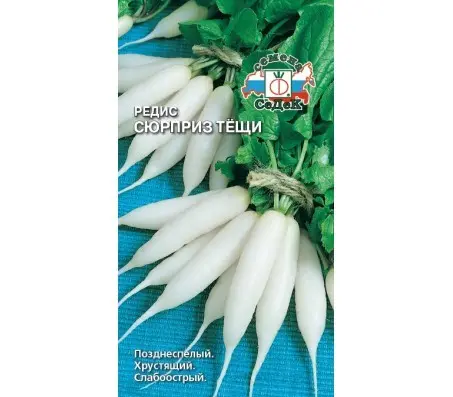 The best varieties of radish for a greenhouse: reviews, photos, for Siberia, for the Moscow region, for the Urals, for the middle lane