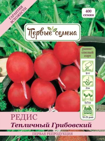 The best varieties of radish for a greenhouse: reviews, photos, for Siberia, for the Moscow region, for the Urals, for the middle lane