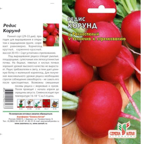 The best varieties of radish for a greenhouse: reviews, photos, for Siberia, for the Moscow region, for the Urals, for the middle lane