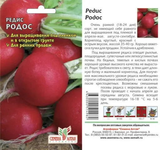 The best varieties of radish for a greenhouse: reviews, photos, for Siberia, for the Moscow region, for the Urals, for the middle lane