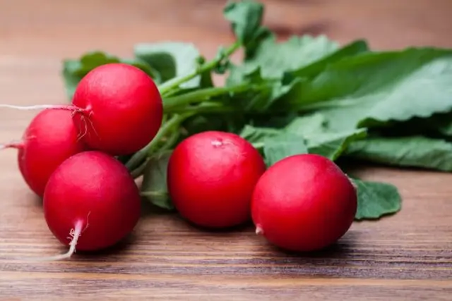 The best varieties of radish for a greenhouse: reviews, photos, for Siberia, for the Moscow region, for the Urals, for the middle lane