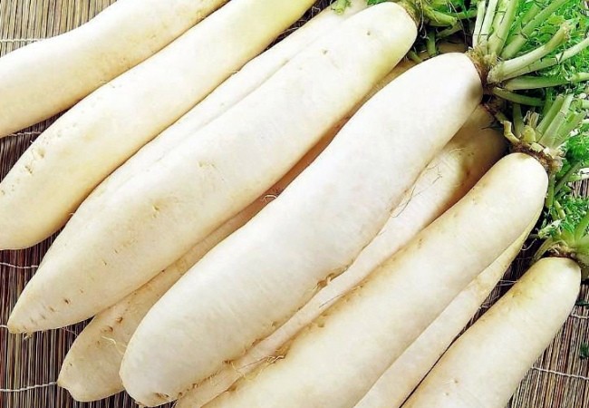 The best varieties of radish for open ground: top most popular