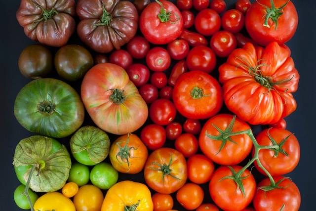 The best varieties of salad tomatoes