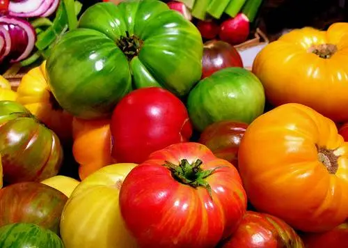 The best varieties of salad tomatoes