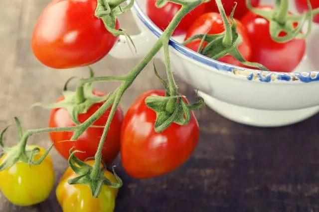 The best varieties of salad tomatoes