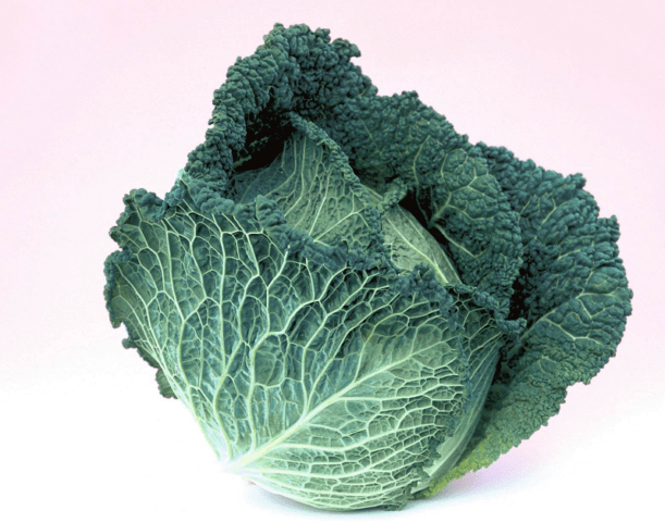 The best varieties of Savoy cabbage: for central Our Country, the Urals, Siberia