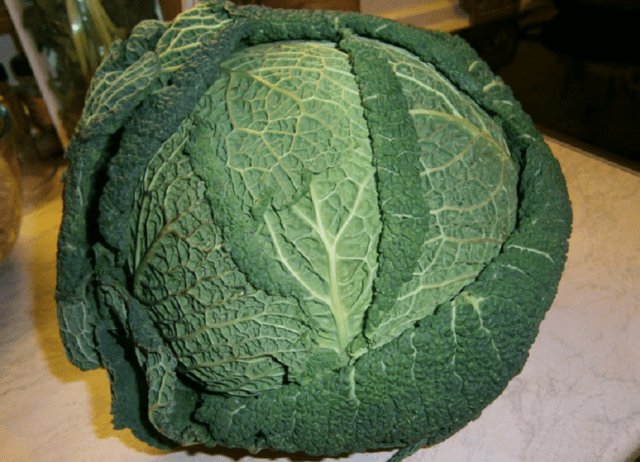 The best varieties of Savoy cabbage: for central Our Country, the Urals, Siberia