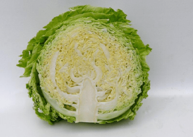 The best varieties of Savoy cabbage: for central Our Country, the Urals, Siberia