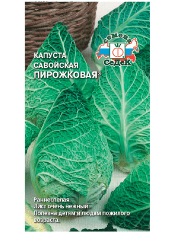 The best varieties of Savoy cabbage: for central Our Country, the Urals, Siberia