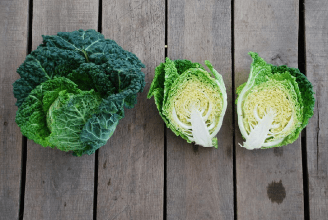 The best varieties of Savoy cabbage: for central Our Country, the Urals, Siberia