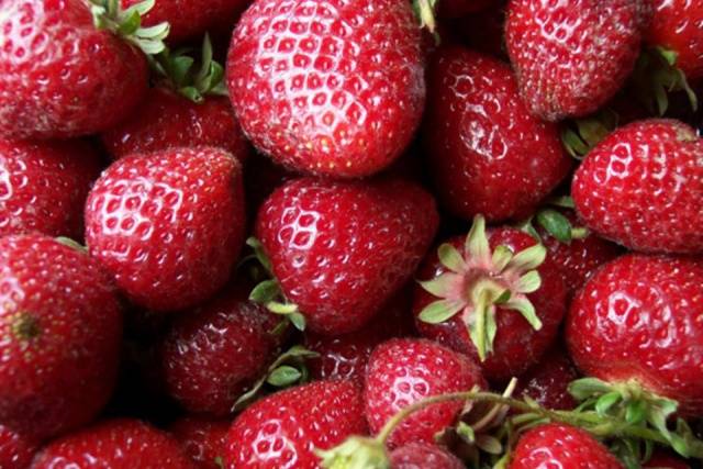 The best varieties of strawberries: reviews 