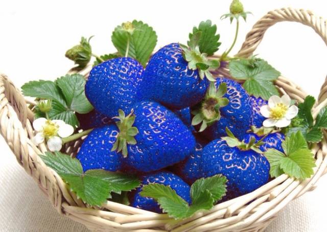 The best varieties of strawberries: reviews 