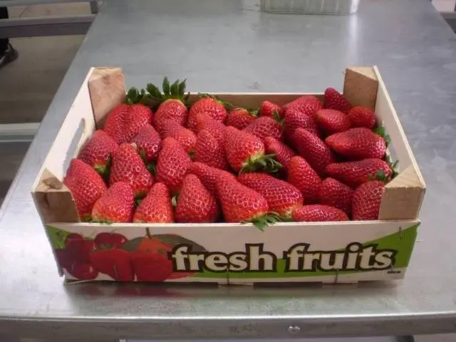 The best varieties of strawberries: reviews 