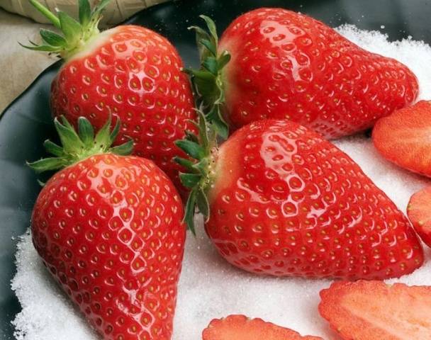 The best varieties of strawberries: reviews 