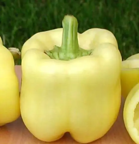 The best varieties of sweet pepper for open ground