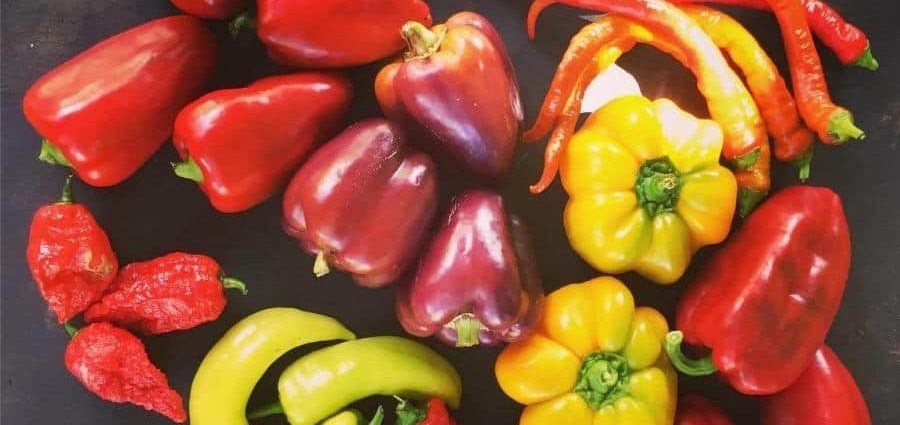 The best varieties of sweet pepper for the Moscow region 