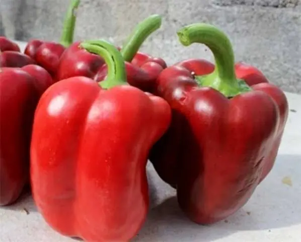 The best varieties of sweet pepper for the Urals