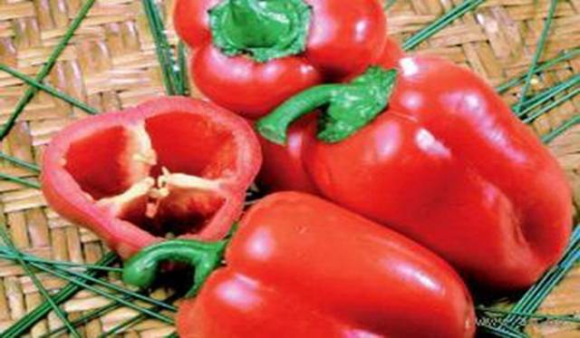 The best varieties of sweet pepper for the Urals