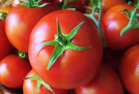 The best varieties of tall tomatoes for open ground