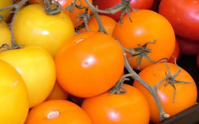 The best varieties of tall tomatoes for open ground