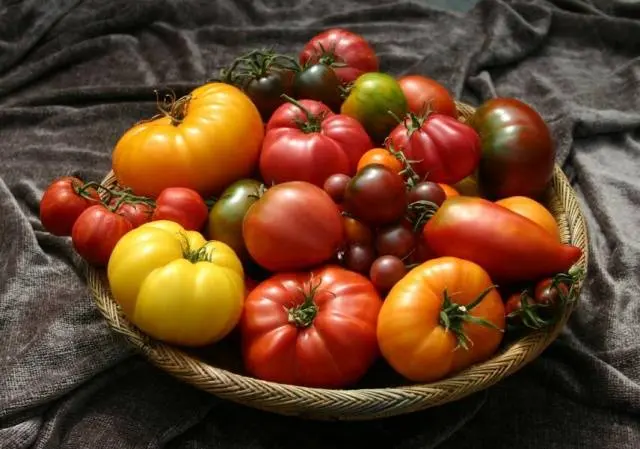 The best varieties of tomatoes for 2022